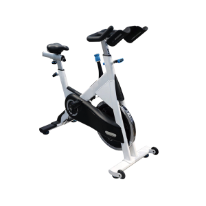 FYL-4700Swing Dynamic Exercise Bike