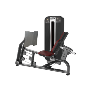 FYL-K603Commercial Seated Leg Press