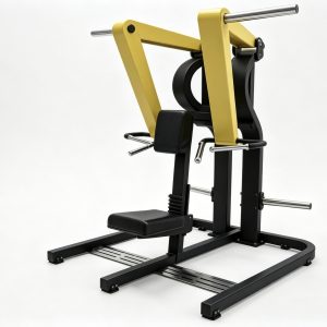 FYL-6065 · Seated Rear Delt Machine
