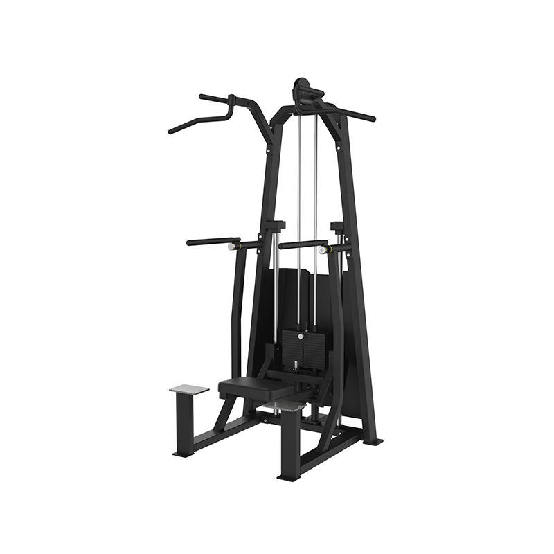 FYL-P809 · Dip / Chin Assist