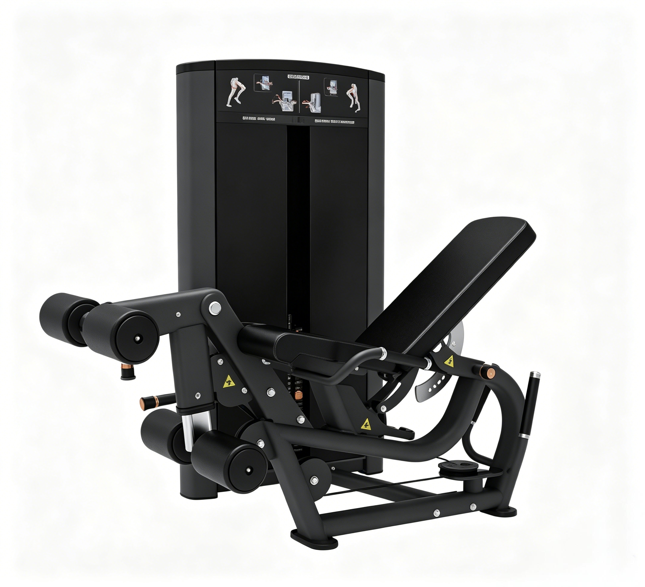 FYL-8203 · Seated Leg Extension & Prone Leg Curl